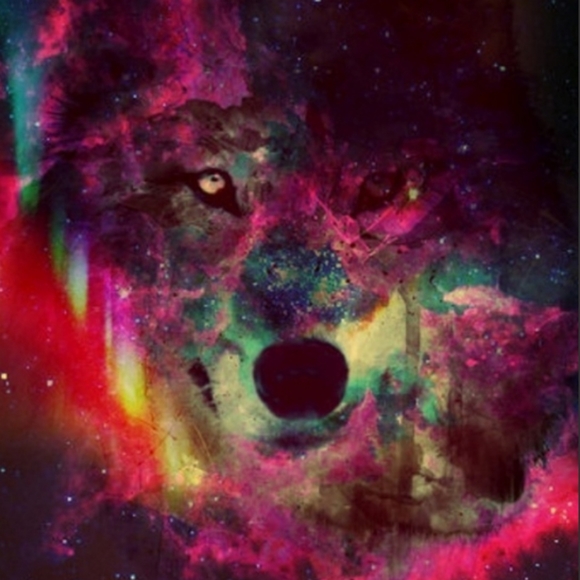 Meet your Posher, Dena - Picture 2 of 4